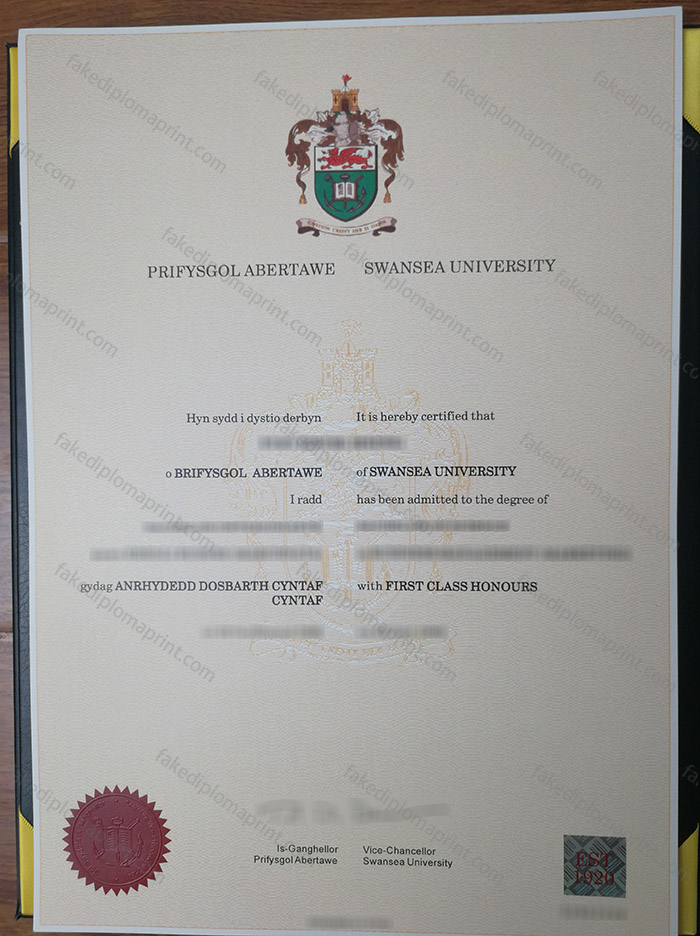 Swansea University diploma