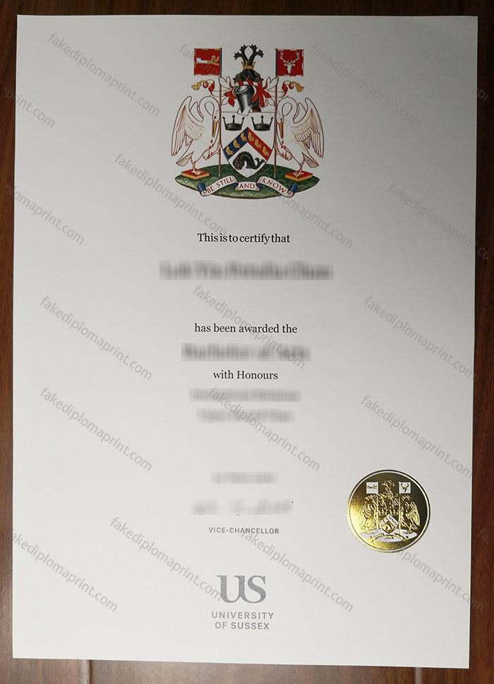 University of Sussex diploma