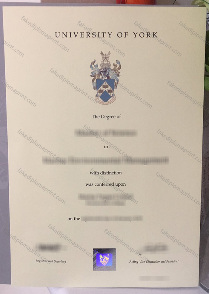 University of York diploma
