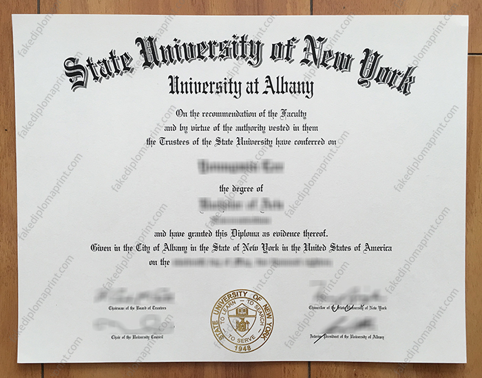 State University of New York at Albany diploma