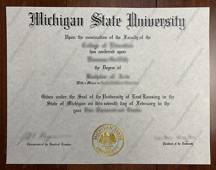 Michigan State University diploma