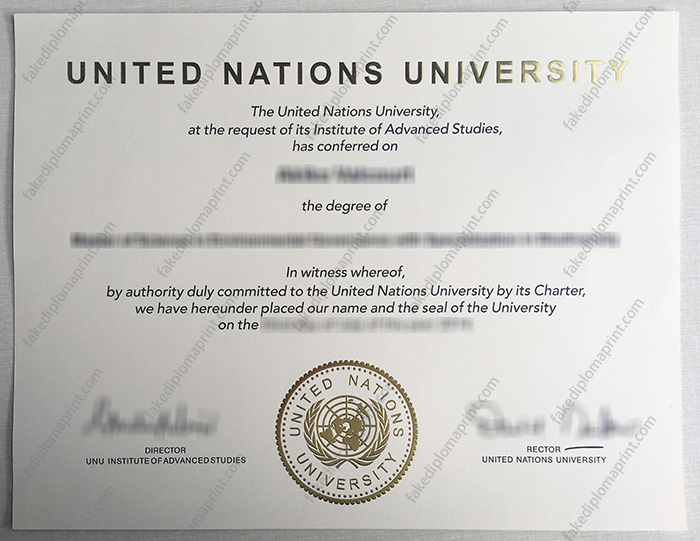 United Nations University diploma