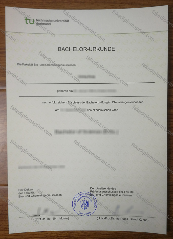 Technische Universitat Dortmund diploma