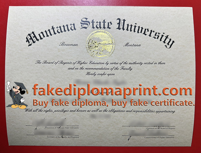 Montana State University diploma