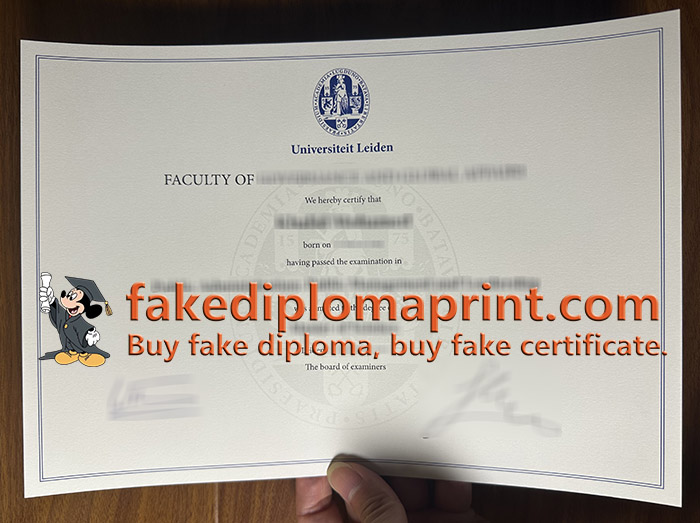Universiteit Leiden diploma