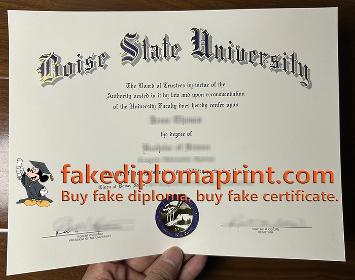 Boise State University degree