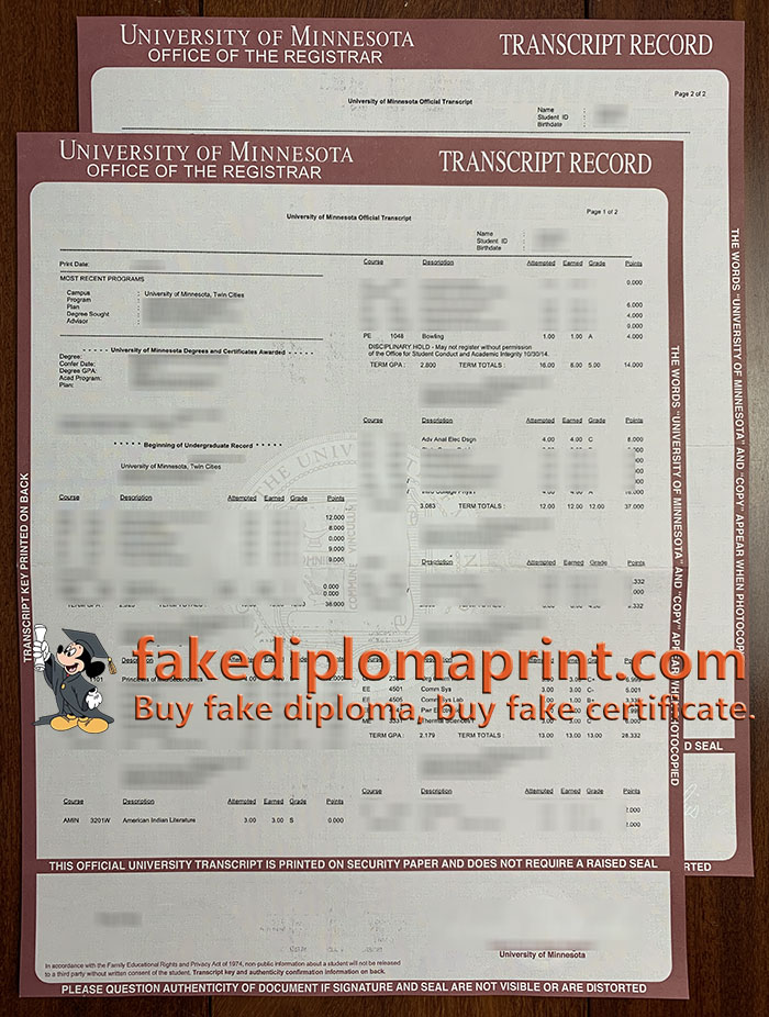 University of Minnesota transcript