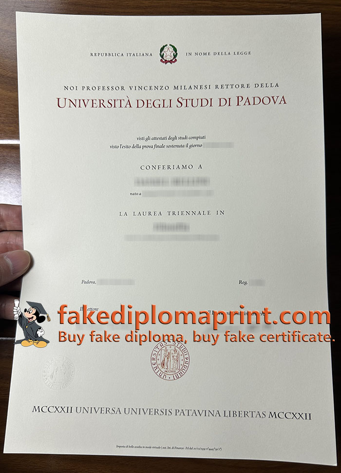 University of Padova degree