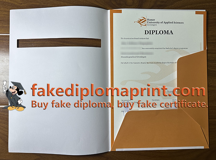 Hanzehogeschool Groningen degree