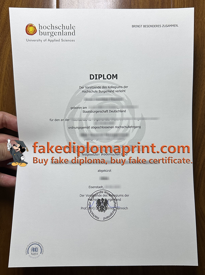 Hochschule Burgenland diploma
