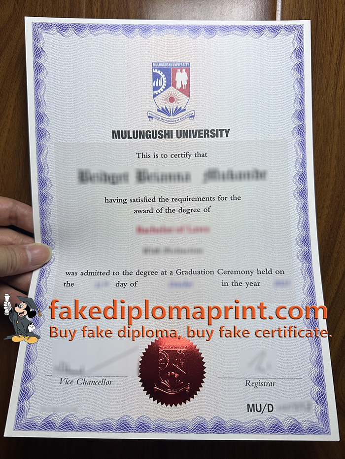 Mulungushi University diploma