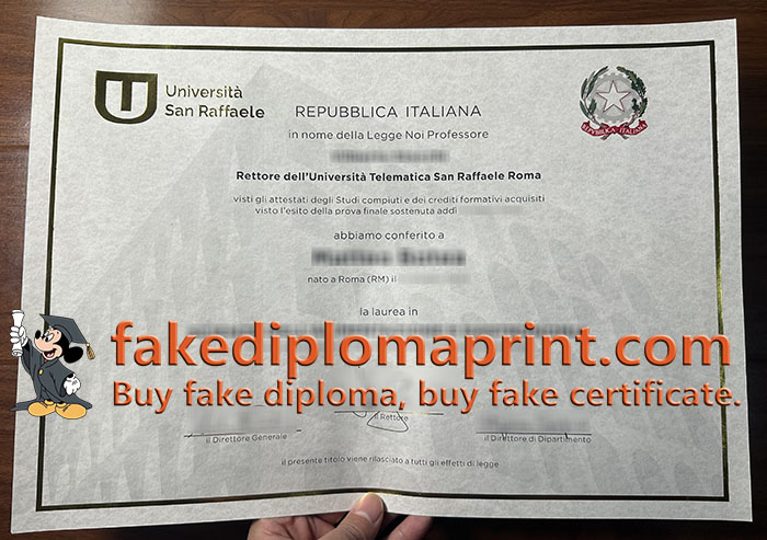 Università San Raffaele degree