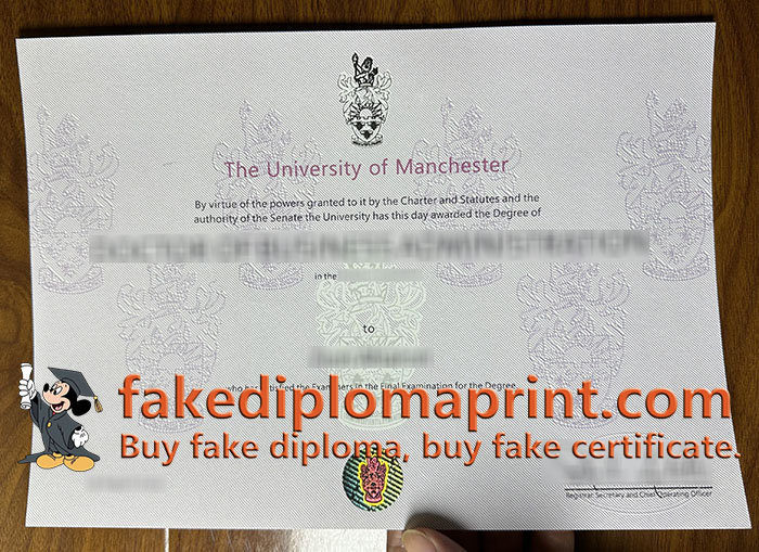 University of Manchester degree